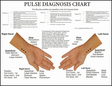 chinese pulse